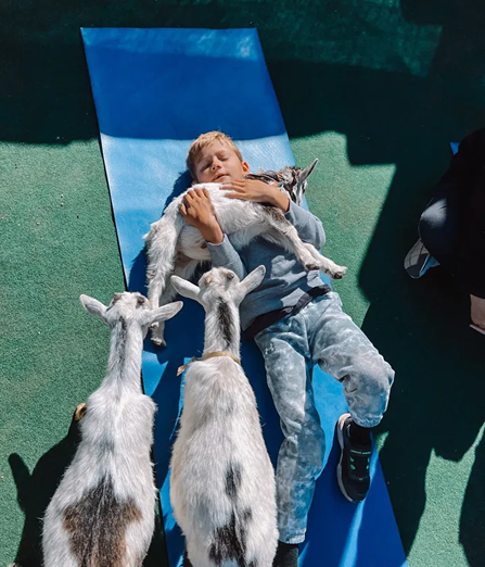 goat7